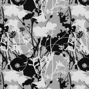 Disce Gaudere - Micromacro - Page 4