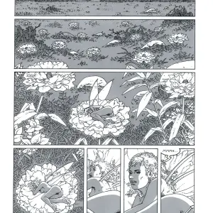 Elfaeries - Page 2